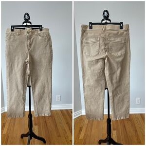 Democracy ab technology size 12 stretch business casual modest mature date night